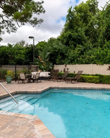 Backyard swimming pool with paved deck, lounge chairs, metal fence, and mature trees surrounding beige privacy wall
